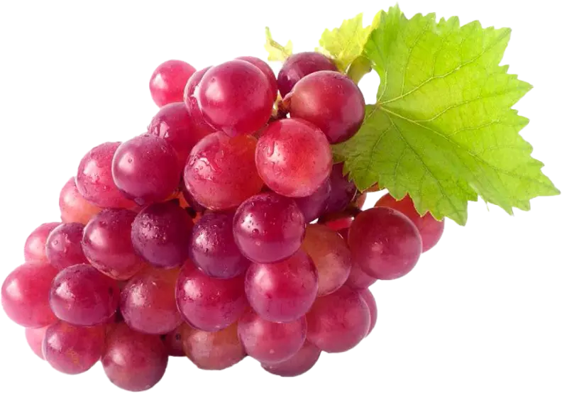 Uvas